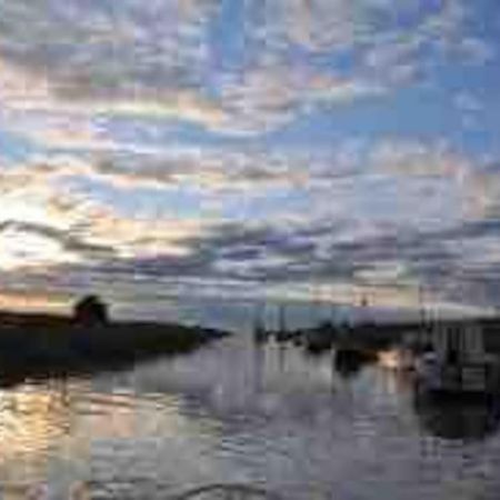 English Beach And Countryside Saltfleet Екстериор снимка